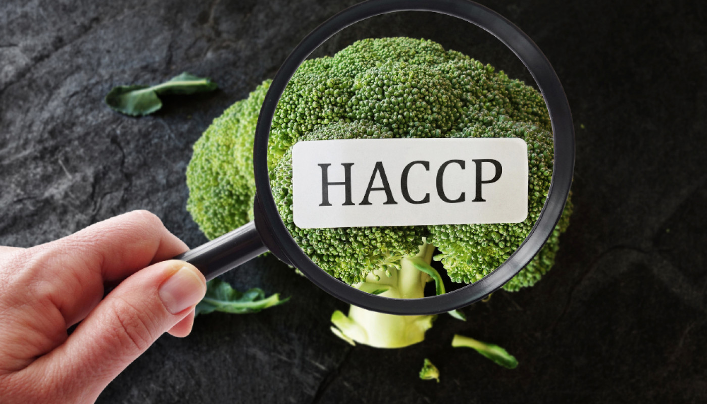 Quel est le meilleur accompagnement vers une formation HACCP à Lyon ?